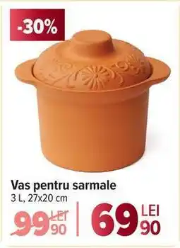 Carrefour Vas pentru sarmale Ofertă