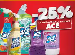 Kaufland La toată gama de produse ACE Ofertă