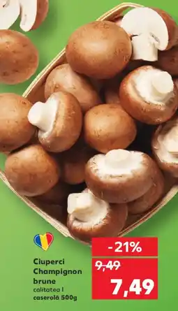 Kaufland Ciuperci Champignon brune Ofertă