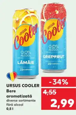 Kaufland URSUS COOLER Bere aromatizată Ofertă