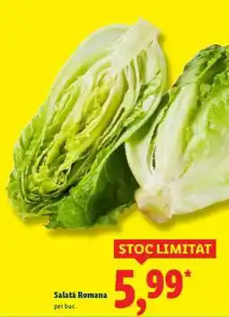 Lidl Salată Romana Ofertă