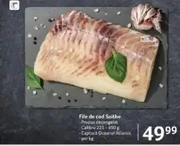 Selgros File de cod Saithe Ofertă