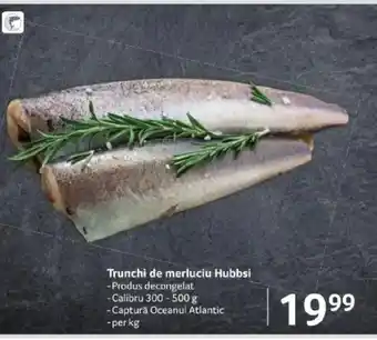 Selgros Trunchi de merluciu Hubbsi Ofertă