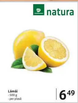 Selgros Lămâi Ofertă