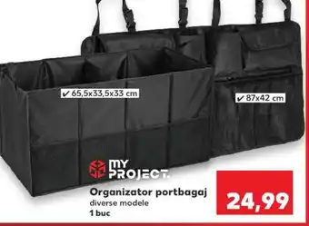 Organizator portbagaj