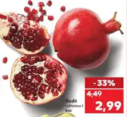 Kaufland Rodii Ofertă
