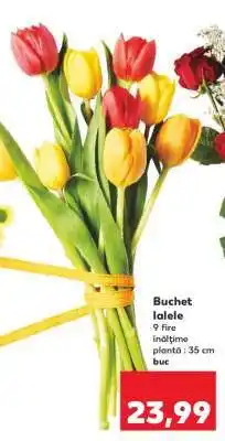 Kaufland Buchet lalele Ofertă
