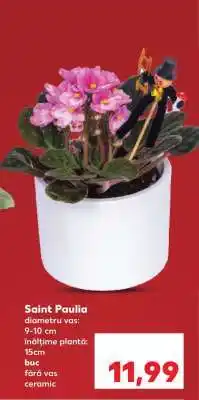 Kaufland Saint Paulia Ofertă