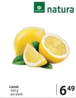 Selgros Lămâi Ofertă