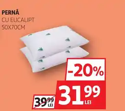 Auchan Pernă cu eucalipt Ofertă