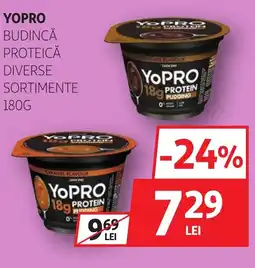 Auchan YOPRO Budincă proteică Ofertă