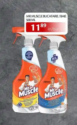 Unicarm MR MUSCLE Bucatarie/baie Ofertă