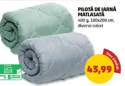 Penny Pilotă de iarnă matlasată Ofertă