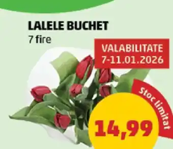 Penny LALELE BUCHET Ofertă