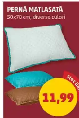 Penny Pernă matlasată Ofertă