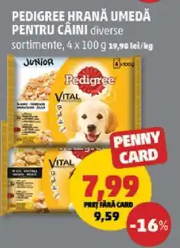 Penny PEDIGREE hrană umedă pentru câini Ofertă