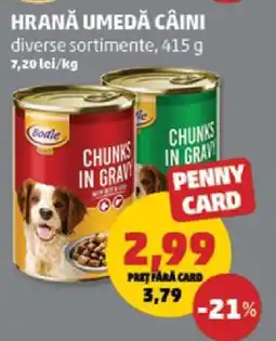 Penny Hrană umedă câini Ofertă