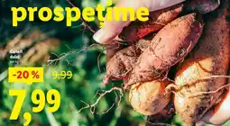 Lidl CARTOFI DULCI Ofertă