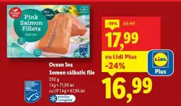 Lidl Ocean Sea Somon sălbatic file Ofertă