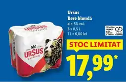 Lidl URSUS Bere blondă Ofertă