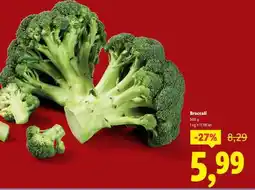 Lidl Broccoli Ofertă