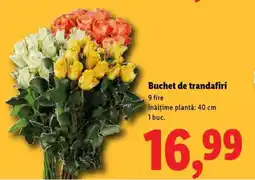 Lidl Buchet de trandafiri Ofertă