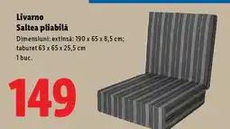 Lidl Livarno Saltea pliabilă Ofertă