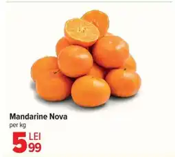 Carrefour Mandarine Nova Ofertă