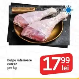 Supeco Pulpe inferioare curcan Ofertă