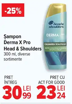 Carrefour Market Șampon Derma X Pro Head & Shoulders Ofertă
