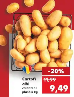 Kaufland Cartofi albi Ofertă