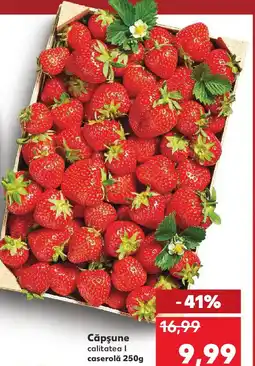 Kaufland Căpşune Ofertă