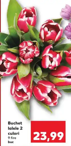Kaufland Buchet lalele Ofertă