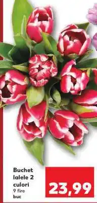 Kaufland Buchet lalele 2 culori Ofertă