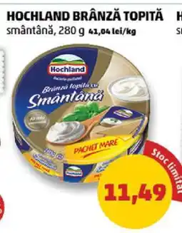 Penny HOCHLAND Brânză topită Ofertă