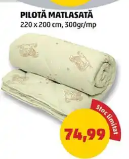 Penny Pilotă matlasată Ofertă