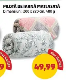 Penny Pilotă de iarnă matlasată Ofertă