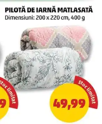 Pilotă de iarnă matlasată