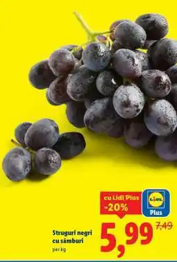 Lidl Struguri negri cu sâmburi Ofertă