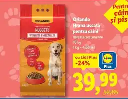 Lidl ORLANDO Hrană uscată pentru câini Ofertă
