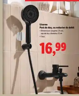 Lidl Livarno Pară de duș, cu reductor de debit Ofertă