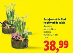 Lidl Aranjament de flori în ghiveci de sticlă Ofertă