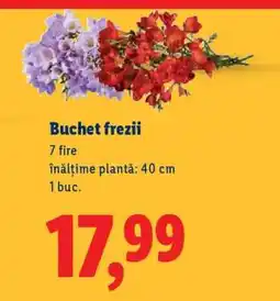 Lidl Buchet frezii Ofertă