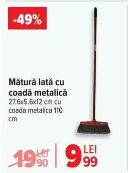 Carrefour Mătură lată cu coadă metalică Ofertă