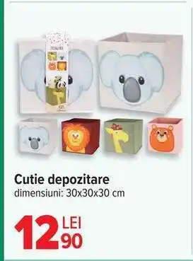 Carrefour Cutie depozitare Ofertă