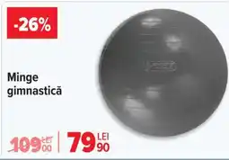Carrefour Minge gimnastică Ofertă
