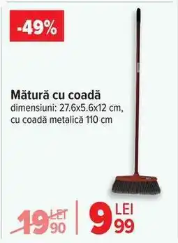 Carrefour Mătură cu coadă Ofertă