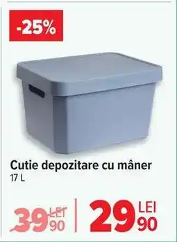 Carrefour Cutie depozitare cu mâner Ofertă