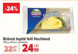 Carrefour Brânză topită felii Hochland Ofertă