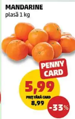 Penny Mandarine Ofertă